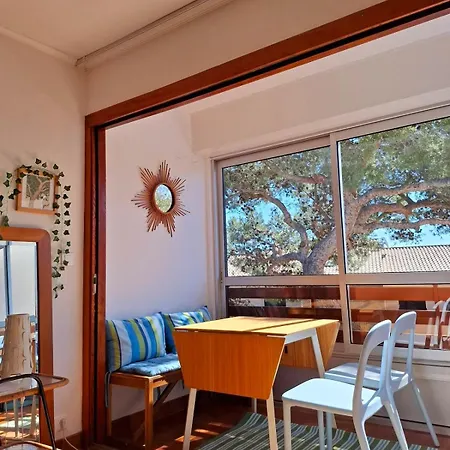 شقة Grand Cosy Presqu'ile De Giens Proche Almanarre Hyères