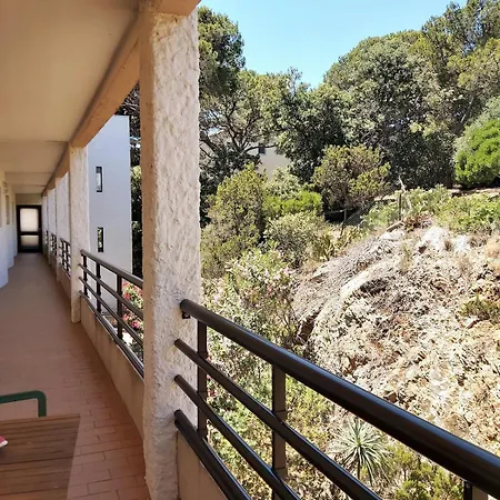 Grand Cosy Presqu'ile De Giens Proche Almanarre *