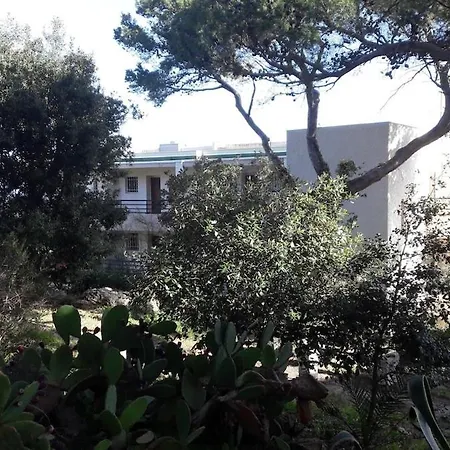 Grand Cosy Presqu'ile De Giens Proche Almanarre * Hyères