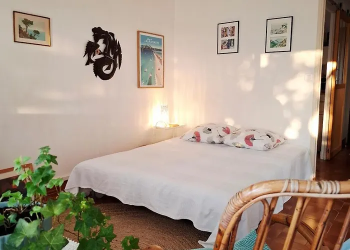 Grand Cosy Presqu'ile De Giens Proche Almanarre شقة