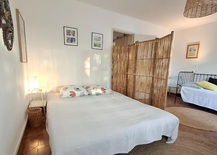 Grand Cosy Presqu'ile De Giens Proche Almanarre * Ιέρ