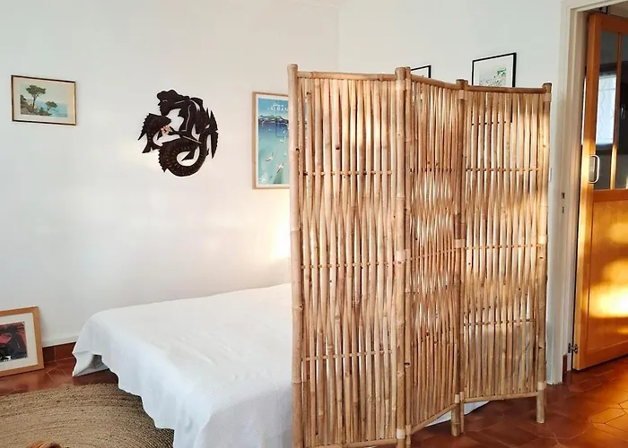 Grand Cosy Presqu'ile De Giens Proche Almanarre