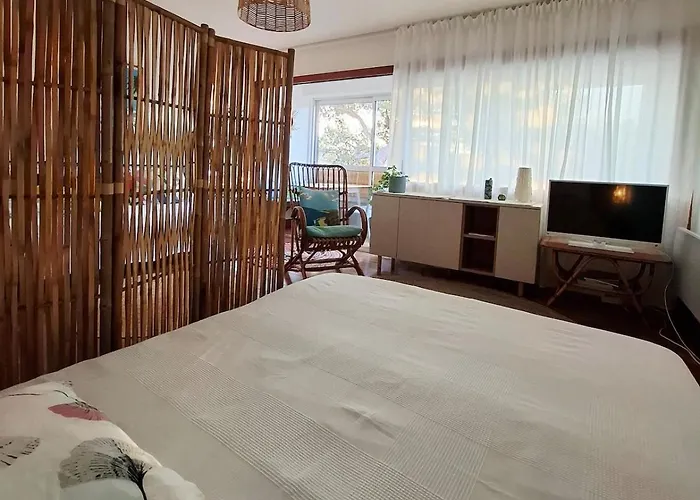 Grand Cosy Presqu'ile De Giens Proche Almanarre Διαμέρισμα *