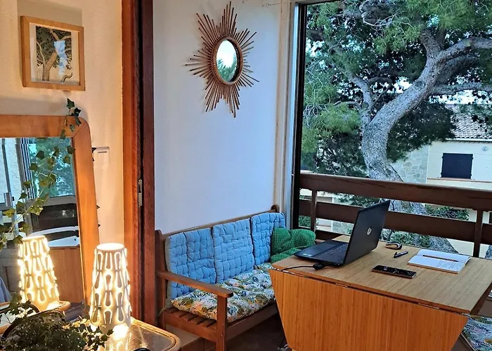 Grand Cosy Presqu'ile De Giens Proche Almanarre Ιέρ