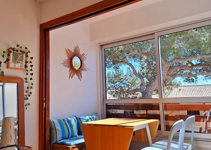 Διαμέρισμα Grand Cosy Presqu'ile De Giens Proche Almanarre Ιέρ