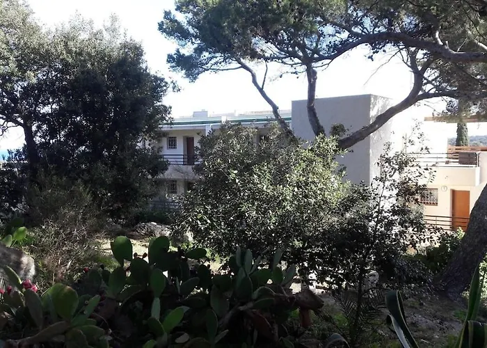 Grand Cosy Presqu'ile De Giens Proche Almanarre * Ιέρ