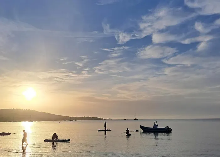 Grand Cosy Presqu'ile De Giens Proche Almanarre