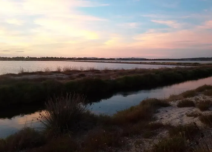 Διαμέρισμα Grand Cosy Presqu'ile De Giens Proche Almanarre *